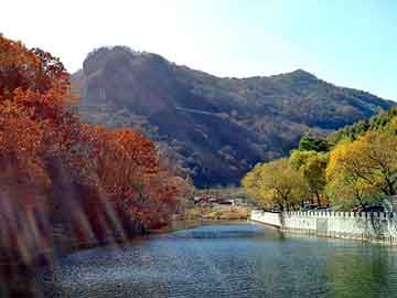 新澳天天免费资料大全，油田油井试压泵